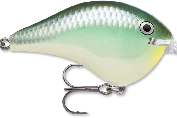 Rapala DT-8 Blue Back Herring