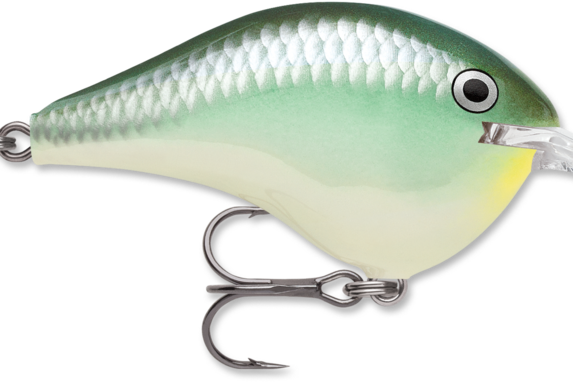 Rapala DT-4 Blue Back Herring (D)