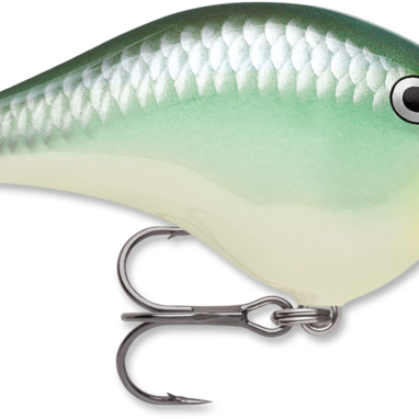 Rapala DT-4 Blue Back Herring (D)