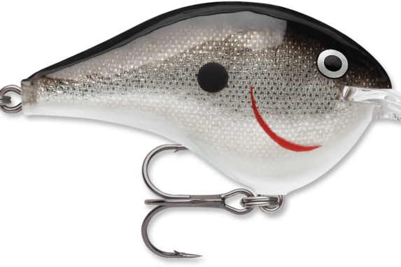 Rapala DT-6 Silver