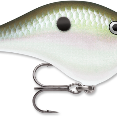 Rapala DT-4 Green Gizzard Shad