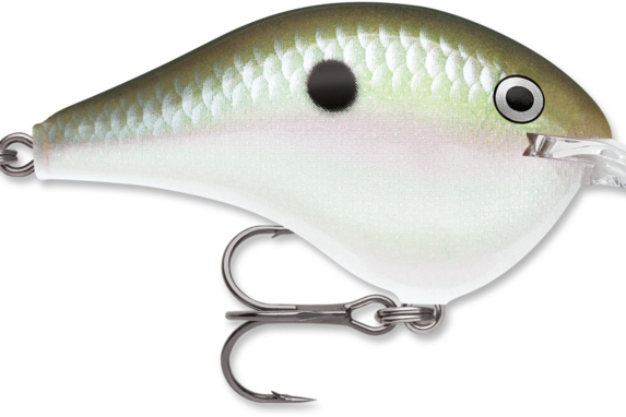 Rapala DT-6 Green Gizzard Shad