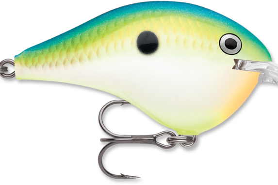 Rapala DT-8 Citrus Shad