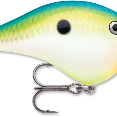Rapala DT-4 Citrus Shad