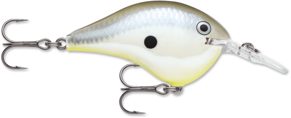 Rapala DT-6 Disco Shad