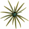 Picasso Lures Urchinator 19mm Olive Blue Pearl