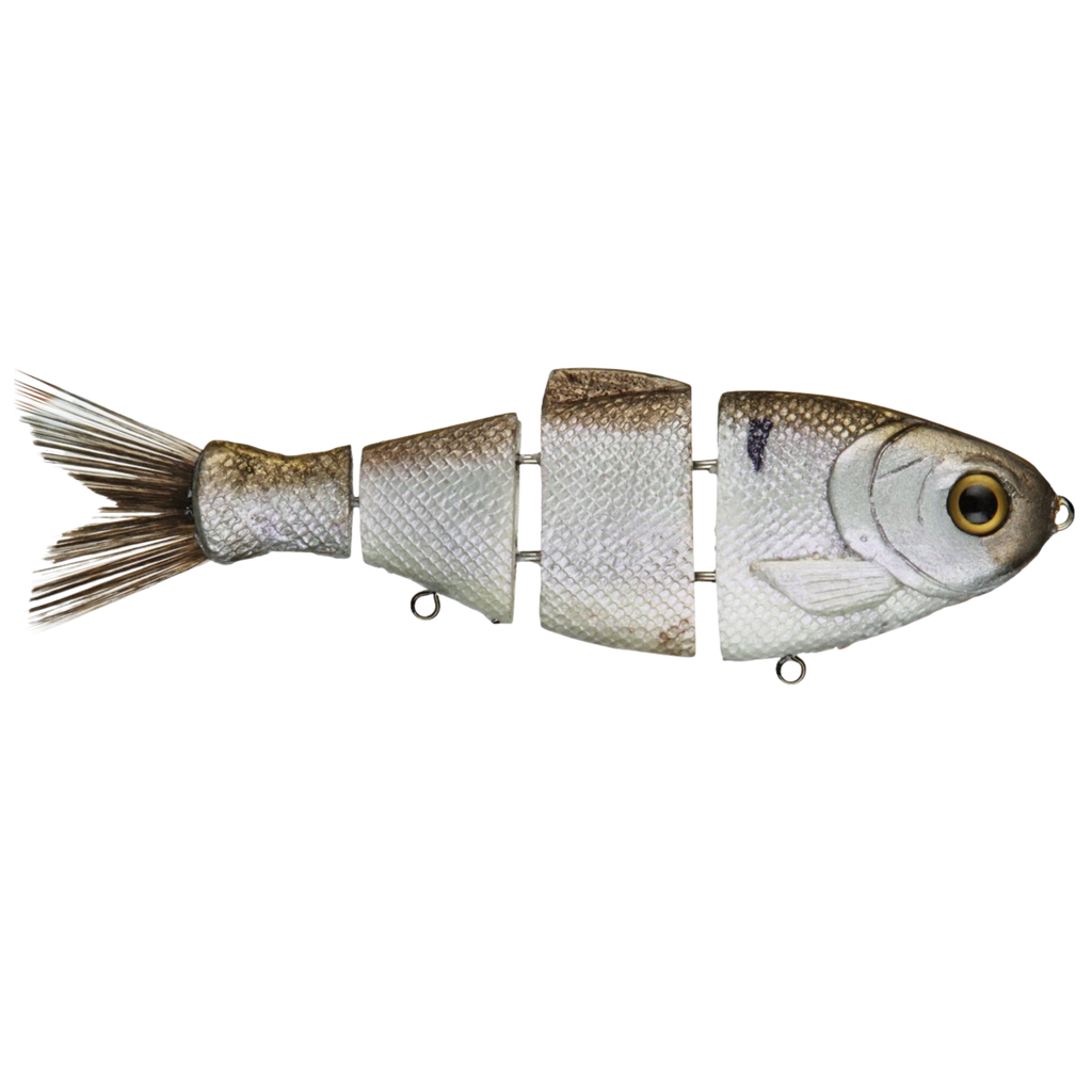 Bull Shad Slow Sinking Swimbait Gizzard