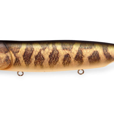 Megabass Dogmax FA Baby Raigyo
