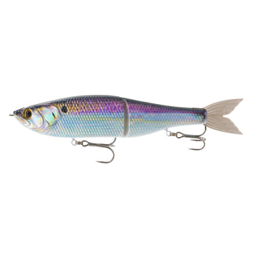 6th Sense Draw Glide Bait 6.5" Live Gizzard Flash