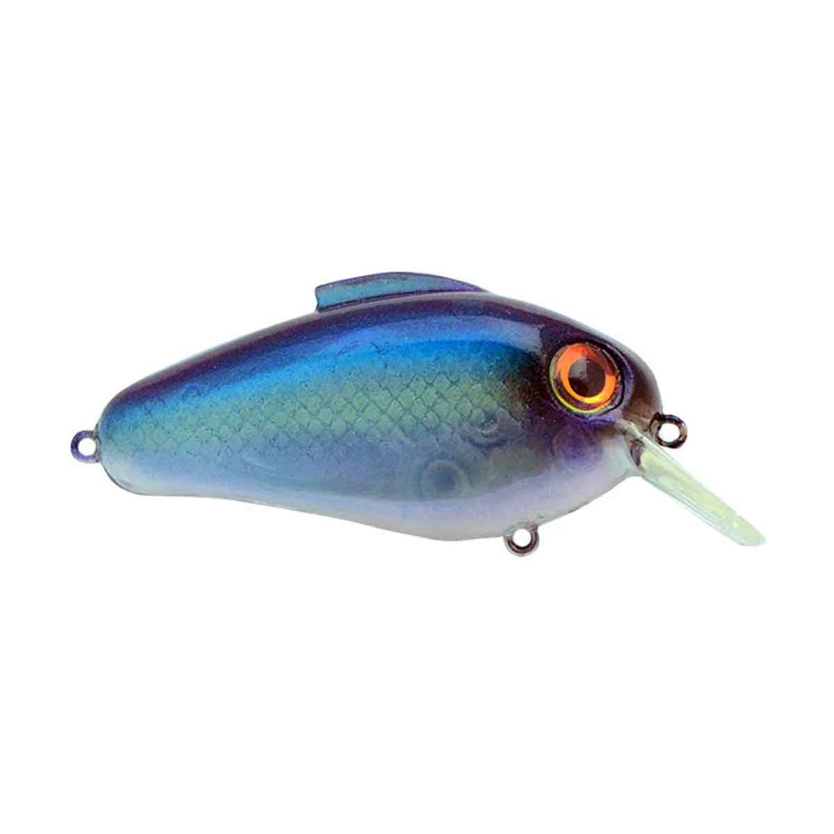 Bill Lewis Echo 1.75 Squarebill Crankbait Pro Blue (D)
