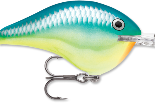 Rapala DT-16 Caribbean Shad