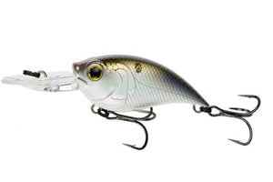 6th Sense Curve 55 4K Shad