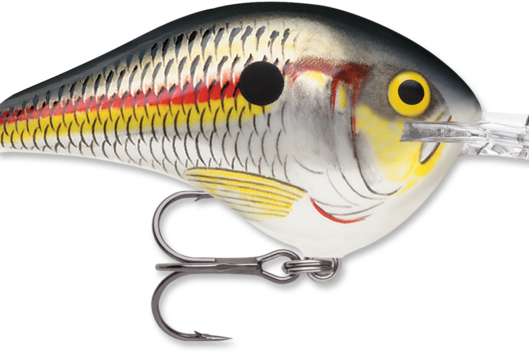 Rapala DT-10 Shad