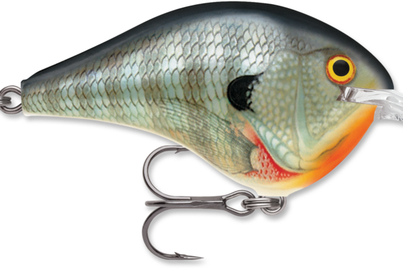 Rapala DT-8