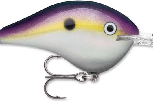 Rapala DT-14 Big Shad