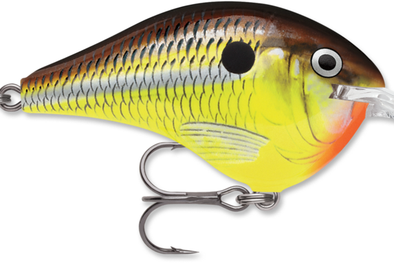 Rapala DT-6 Hot Mustard