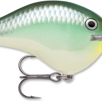 Rapala DT-14 Blue Back Herring (D)