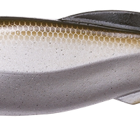 Megabass Mag Draft MB Shad