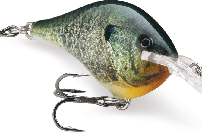 Rapala DT-6 Live Bluegill