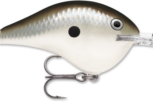 Rapala DT-10 Pearl Grey Shiner