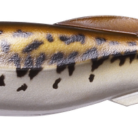 Megabass Mag Draft Baby Bass