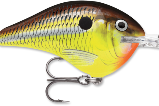 Rapala DT-10 Hot Mustard
