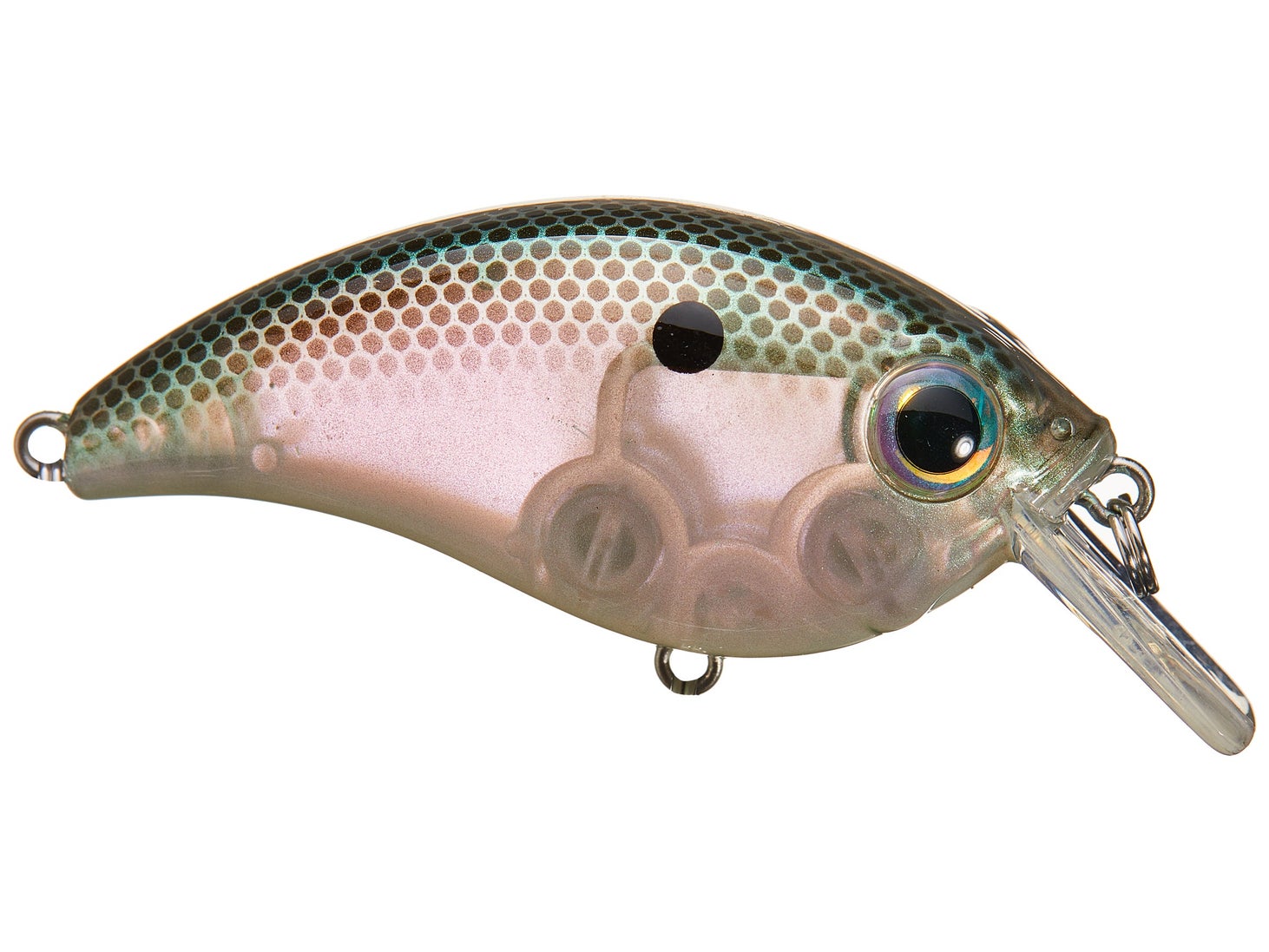 Bill Lewis ATV 2.5 Sqaurebill Crankbait Green Gizzard