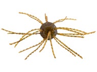 Strike King Tumbleweed Salted Smallmouth Candy