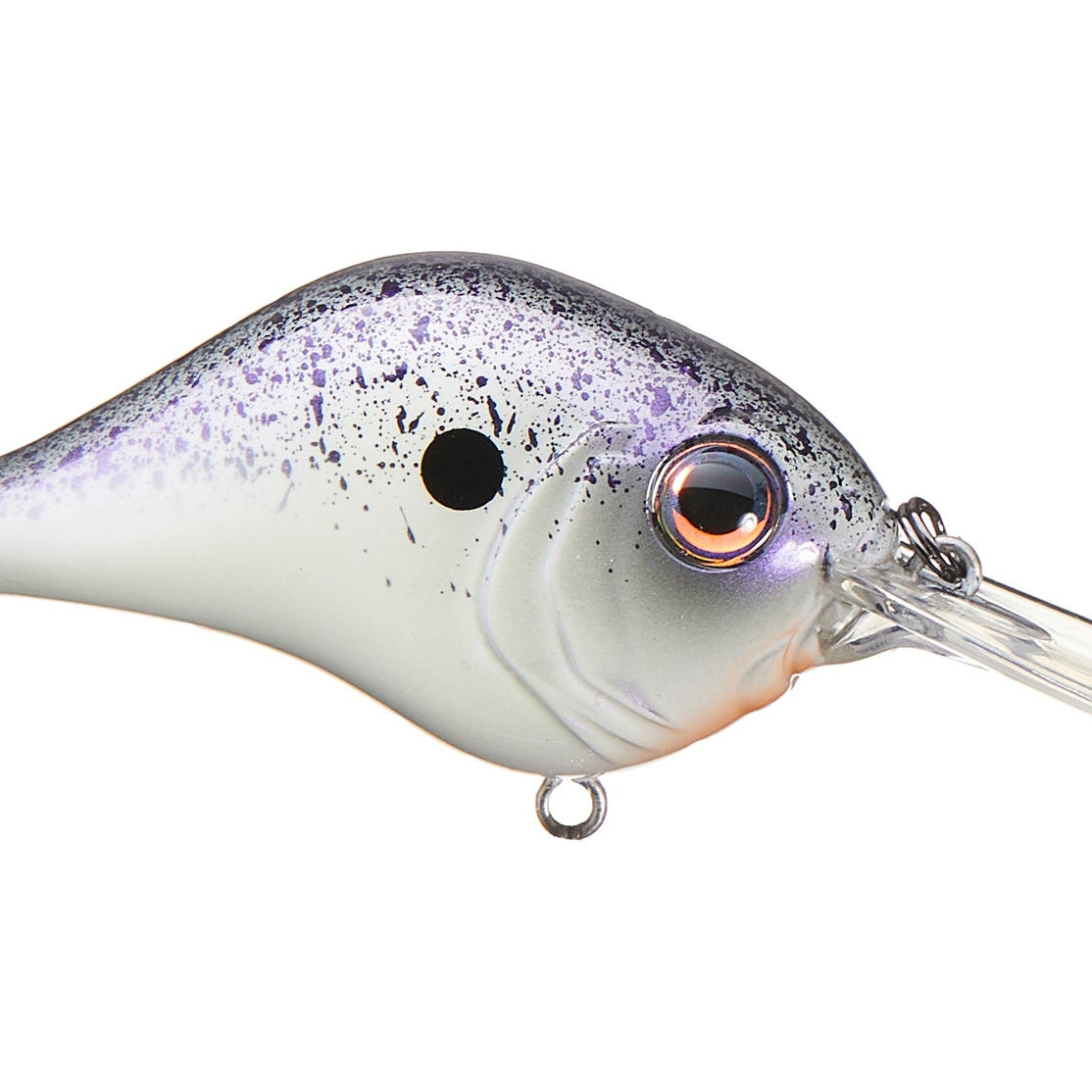 Bill Lewis MR-6 Purple Nurple - MR6-802