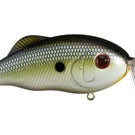 Strike King Hybrid Hunter Muh Knee Shad