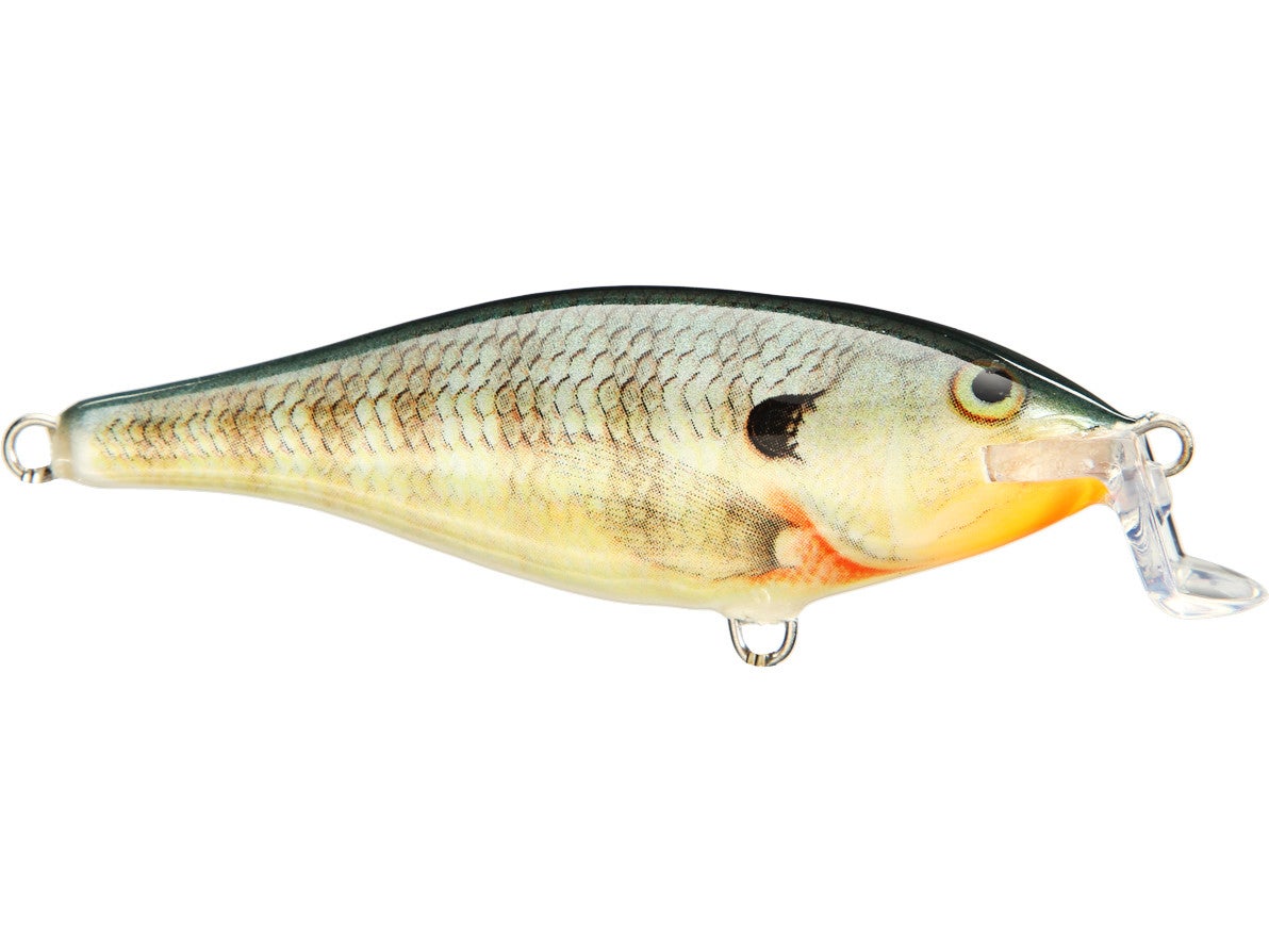 Rapala Shad Rap Shallow Runner 07 Bluegill