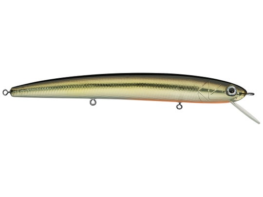 Daiwa HMKL Minnow SC 137 Champaign Half