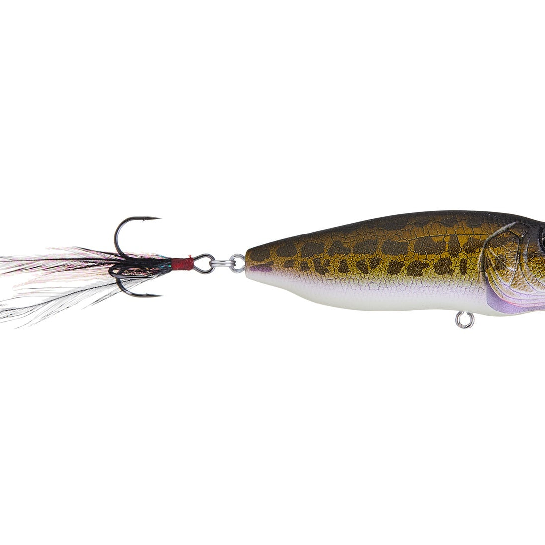 Megabass Pop Max Pagani Raigyo