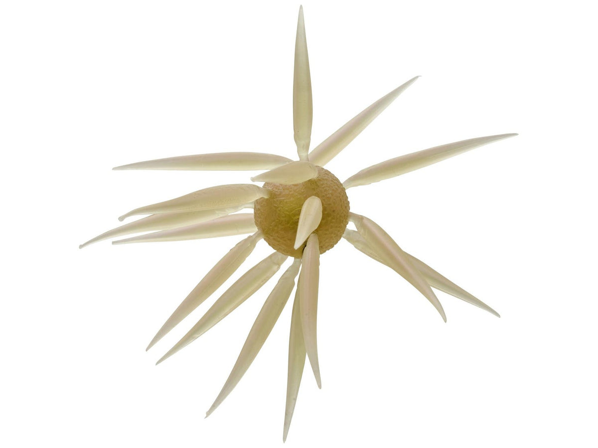 Hideup Coike Fish Elastomer Creature Bait Clear Wakasagi