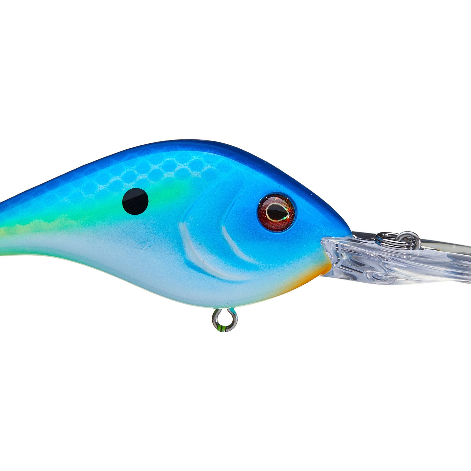 Berkley Dredger 14.5 Crankbaits Big Money