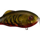 Strike King Hybrid Hunter Phantom Watermelon Craw