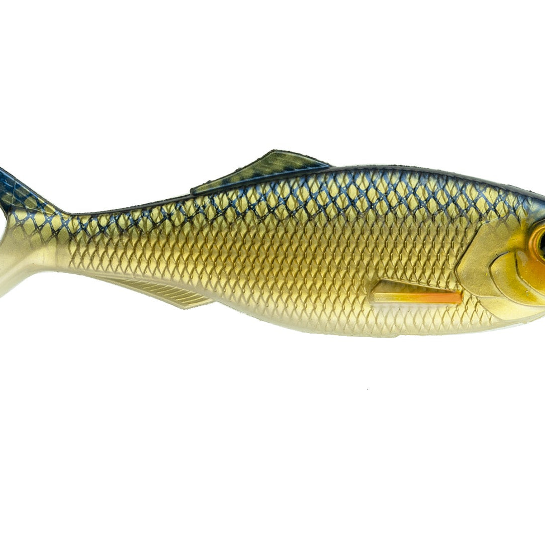 6TH Sense Sweep Live Shiner