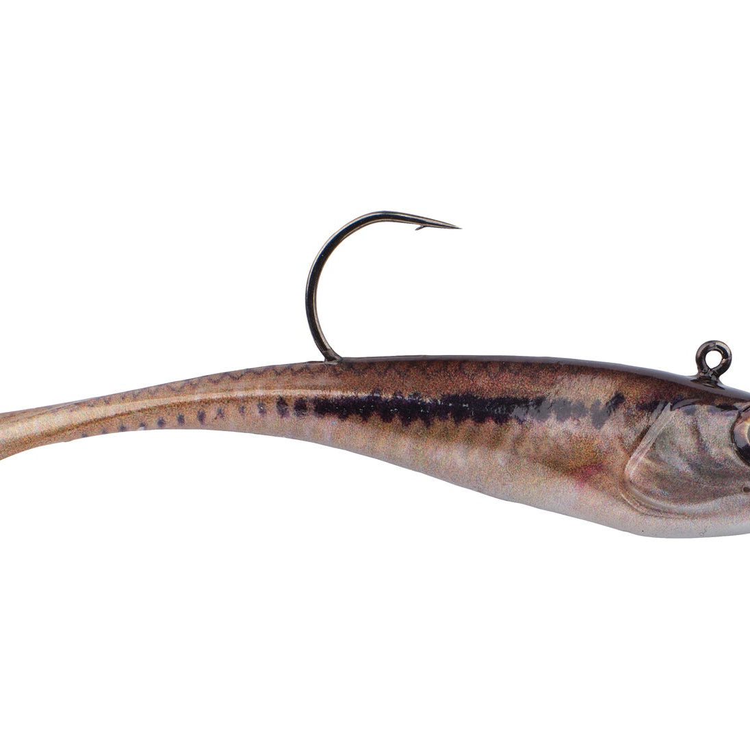 Berkley Powerbait Power Switch HD Blacknose Shiner