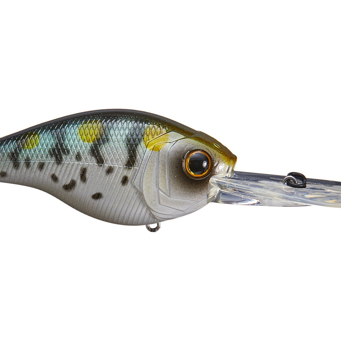 6th Sense Cloud 9 Series C15 Baby Crappie