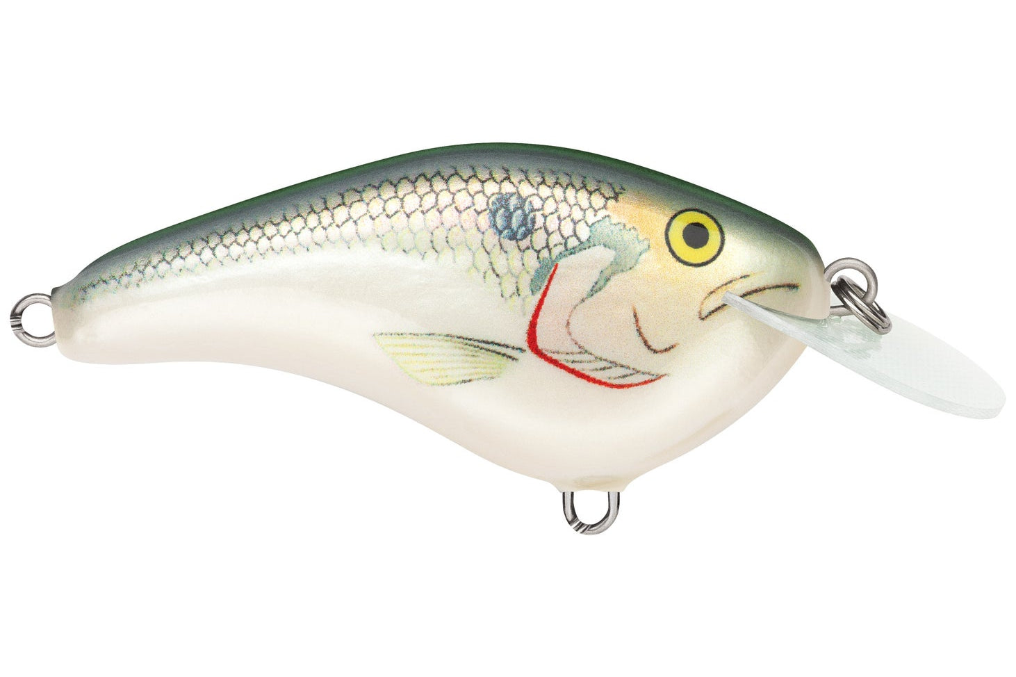 Rapala Ott’s Garage Slim 06 Crankbait Shad
