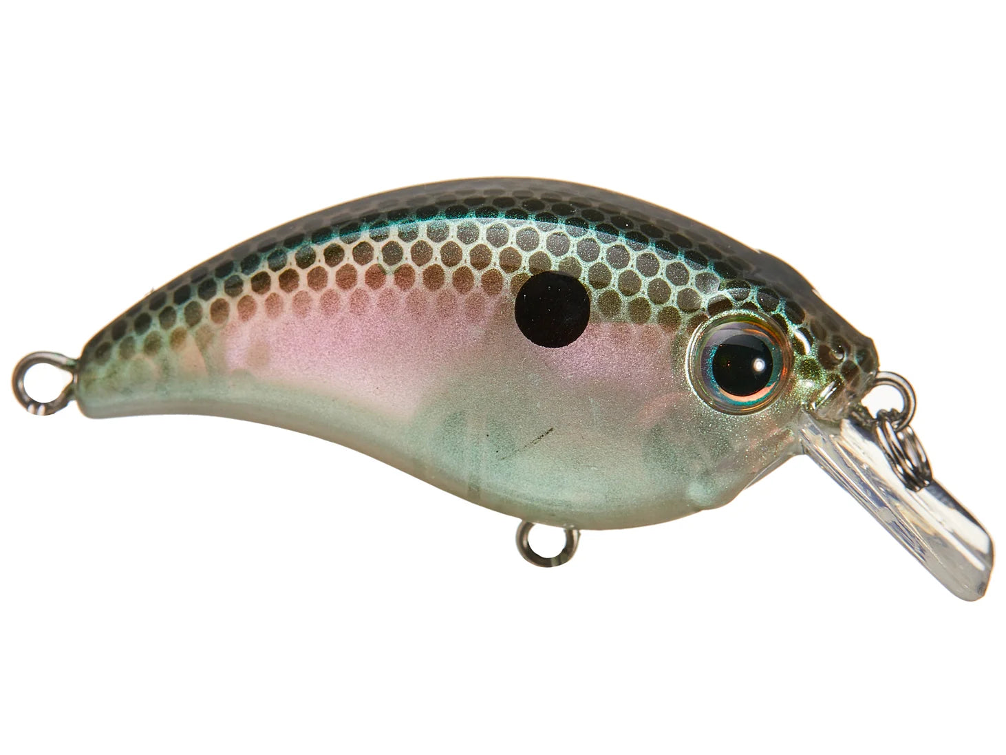 Bill Lewis ATV 1.0 Squarebill Crankbaits Green Gizzard