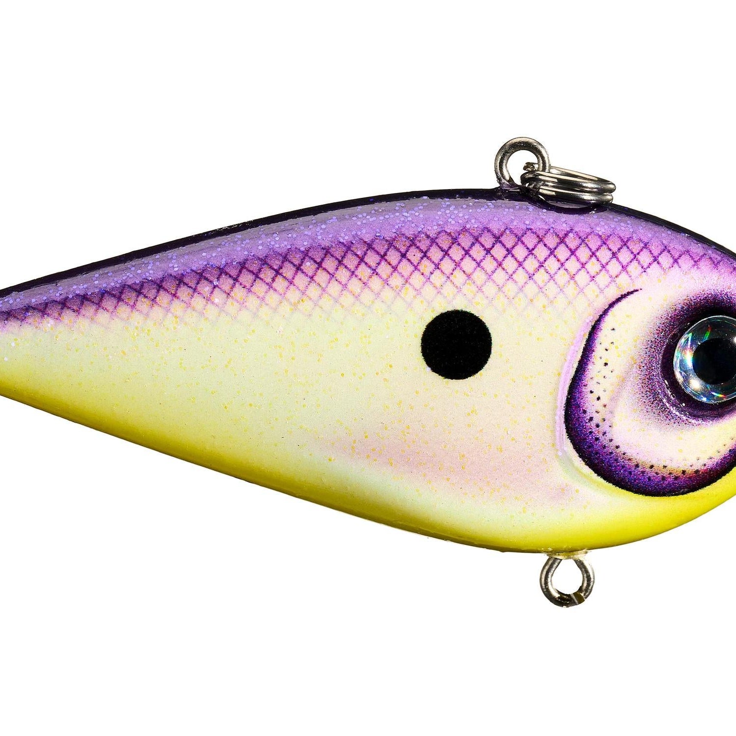Rapala Snare 50 Lipless Crankbait Royal Shad