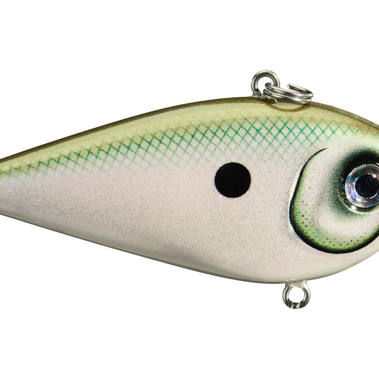 Rapala Snare 50 Lipless Crankbait Green Gizzard Shad