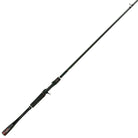 Shimano Zodias Casting Rods