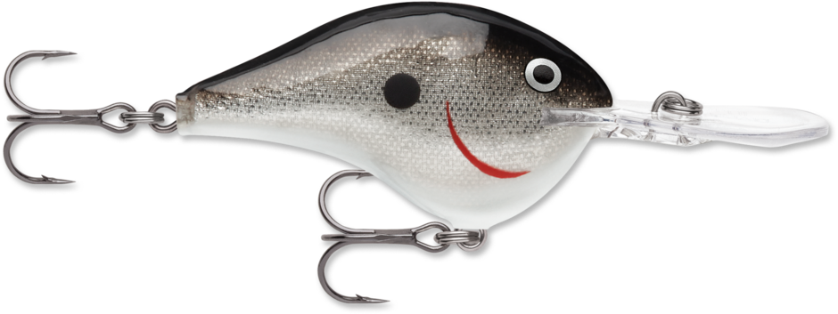 Rapala DT-14 Silver