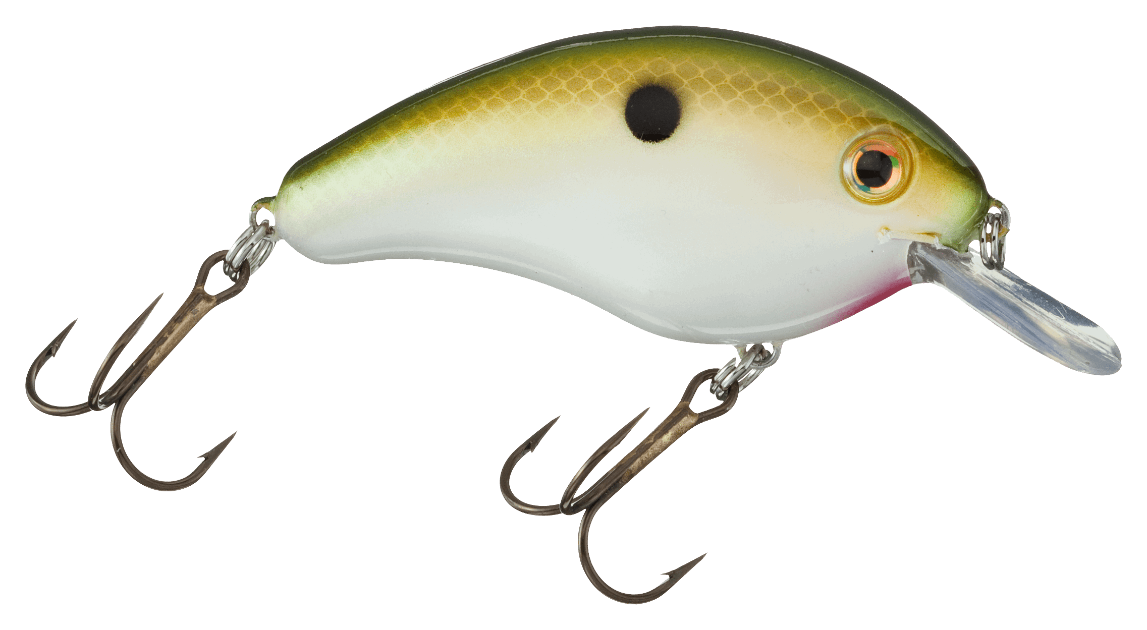 Strike King Pro Model Series 4 Tennesse Shad