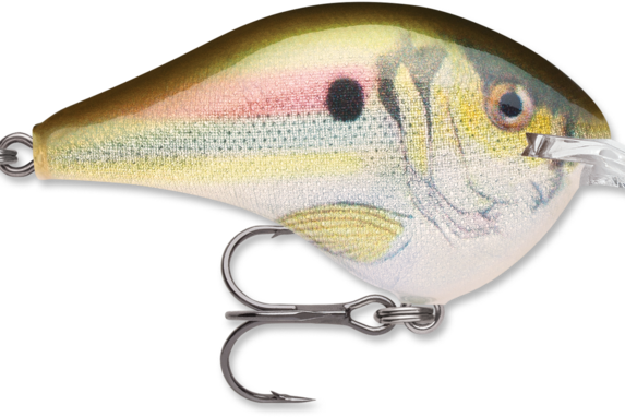 Rapala DT-8