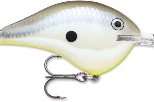 Rapala DT-14 Disco Shad (D)