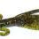 Zoom Baby Brush Hog Tilapia Magic 411 **