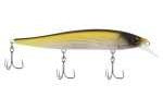 Berkley Stunna 112 Jerkbait MF Tennessee Shad